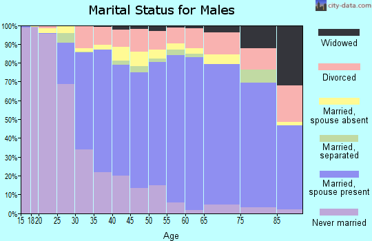 Zip code 33411 marital status for males
