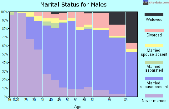 Zip code 33428 marital status for males
