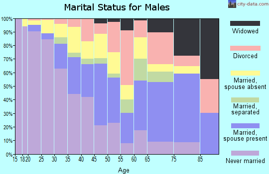 Zip code 33430 marital status for males