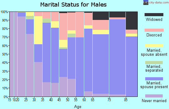 Zip code 33431 marital status for males