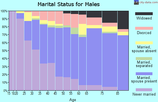 Zip code 33436 marital status for males