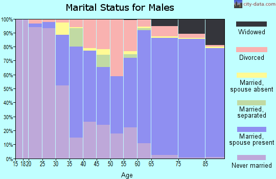 Zip code 33437 marital status for males