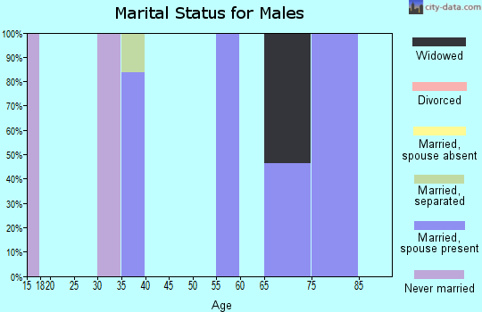 Zip code 33438 marital status for males