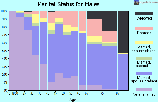 Zip code 33463 marital status for males