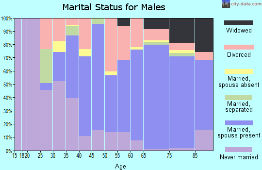 Zip code 33469 marital status for males