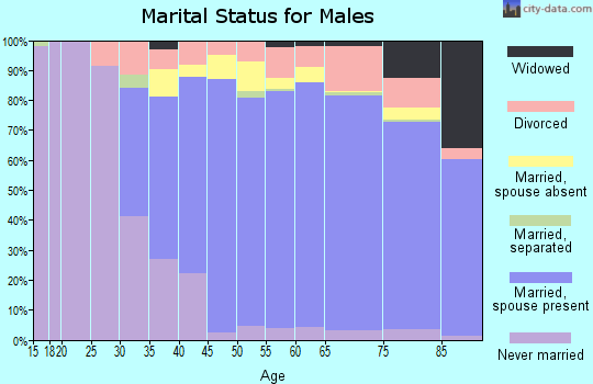 Zip code 33496 marital status for males