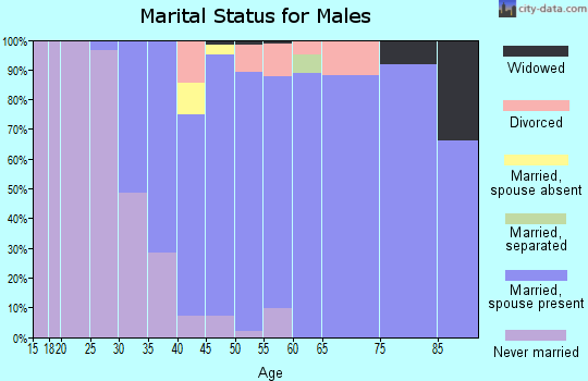 Zip code 33498 marital status for males