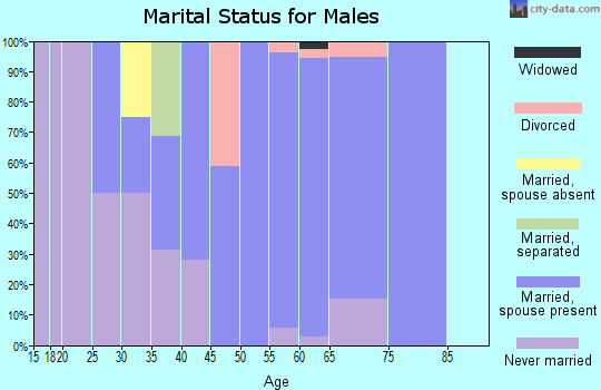 Zip code 33514 marital status for males