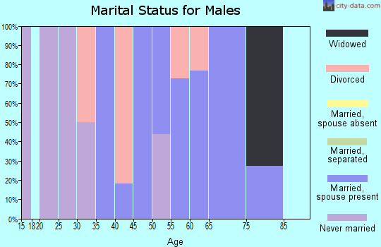 Zip code 33521 marital status for males