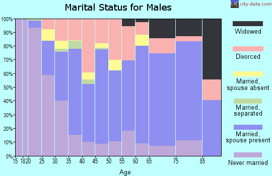 Zip code 33523 marital status for males