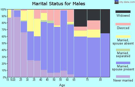 Zip code 33527 marital status for males