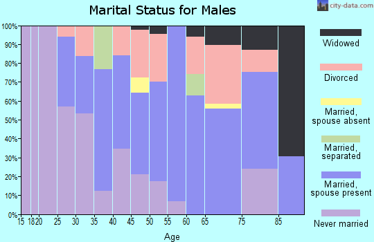 Zip code 33538 marital status for males