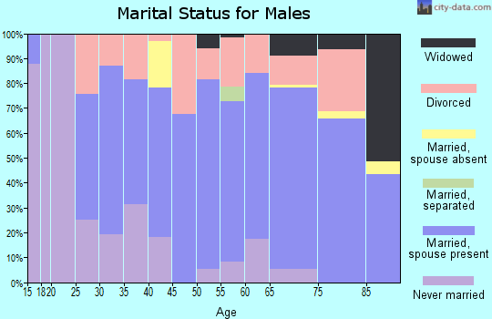 Zip code 33540 marital status for males