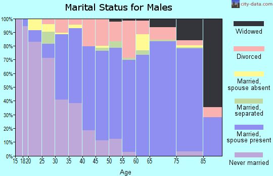 Zip code 33565 marital status for males