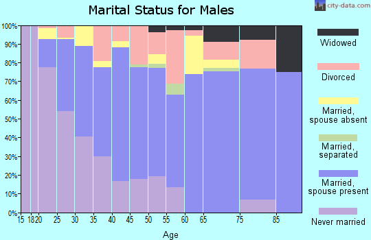 Zip code 33567 marital status for males