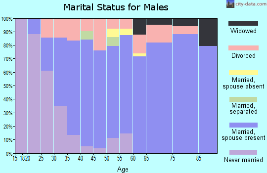 Zip code 33572 marital status for males