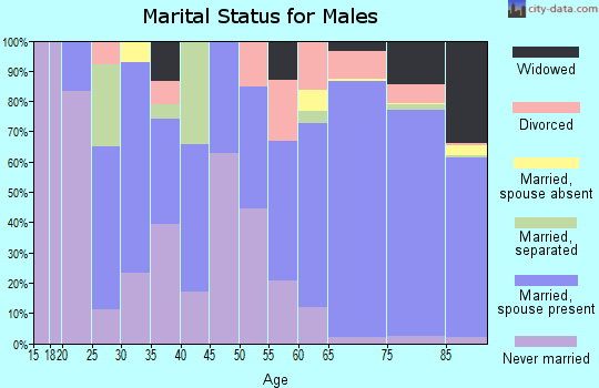 Zip code 33573 marital status for males