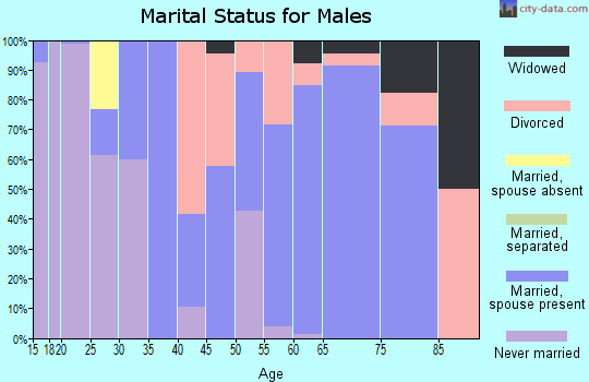 Zip code 33576 marital status for males