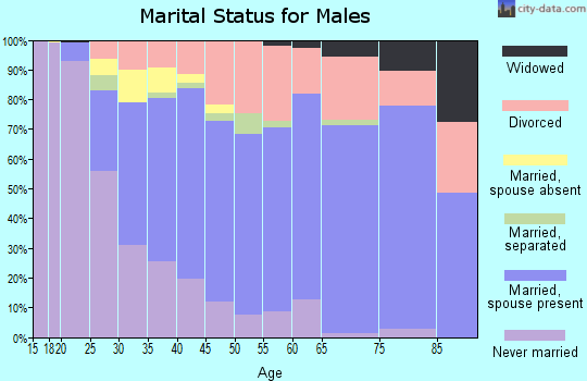 Zip code 33584 marital status for males