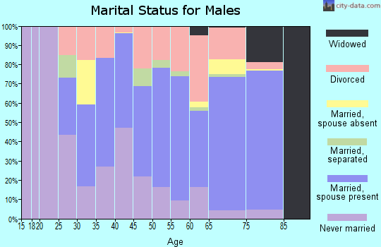 Zip code 33592 marital status for males