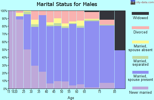 Zip code 33594 marital status for males