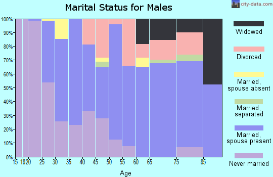 Zip code 33597 marital status for males