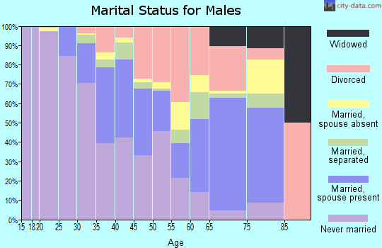 Zip code 33602 marital status for males
