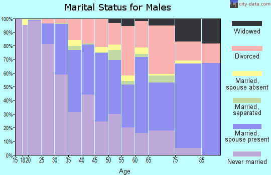 Zip code 33603 marital status for males