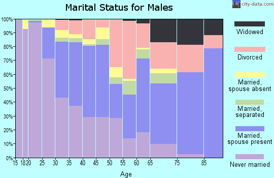 Zip code 33604 marital status for males