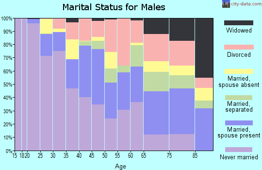Zip code 33605 marital status for males