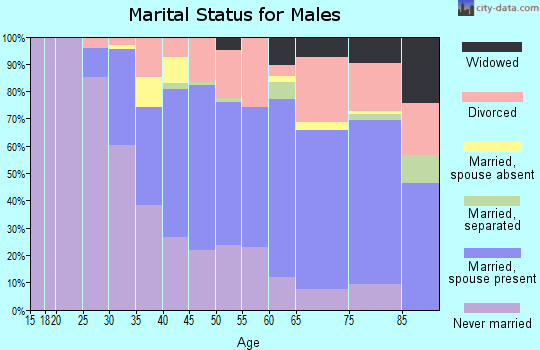 Zip code 33606 marital status for males