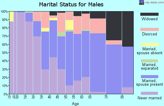 Zip code 33609 marital status for males