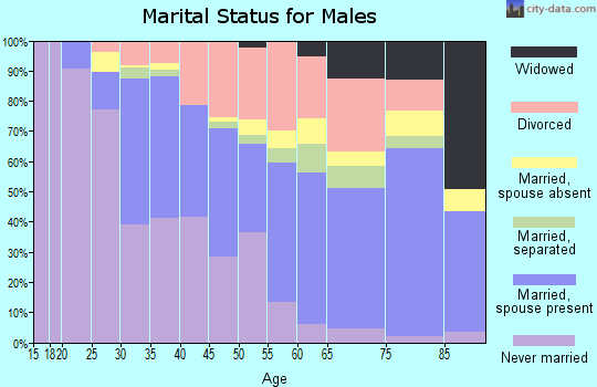 Zip code 33610 marital status for males