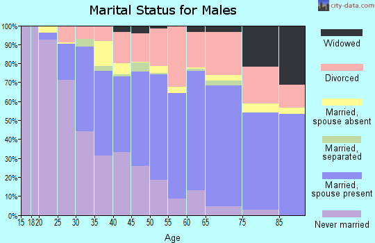 Zip code 33611 marital status for males
