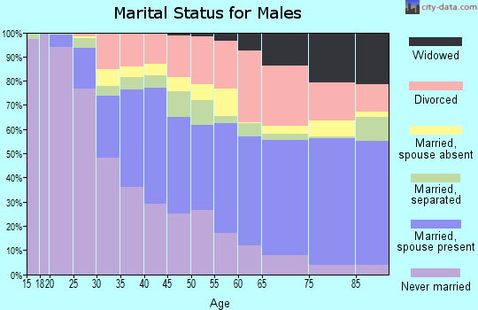 Zip code 33612 marital status for males