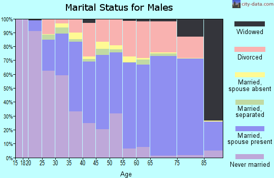 Zip code 33615 marital status for males
