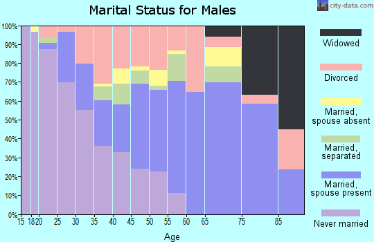 Zip code 33616 marital status for males