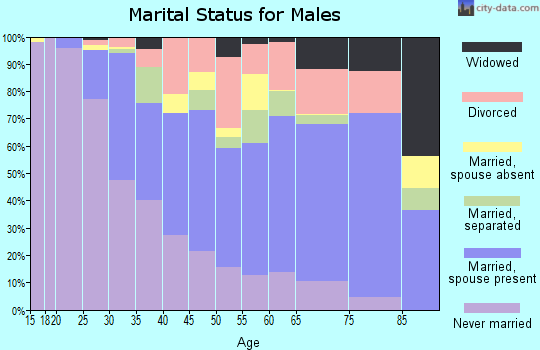 Zip code 33617 marital status for males