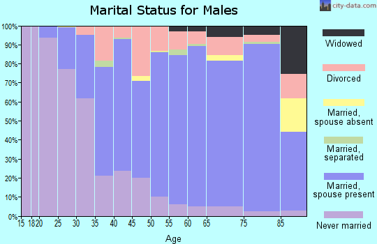 Zip code 33618 marital status for males