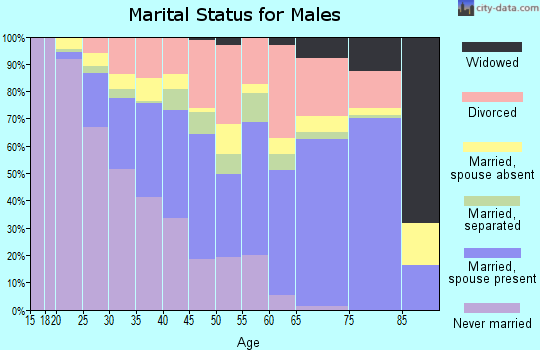 Zip code 33619 marital status