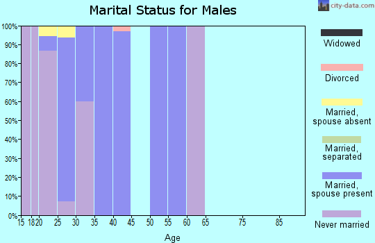 Zip code 33621 marital status for males