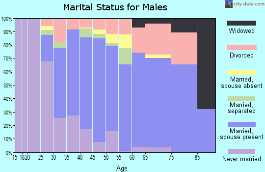 Zip code 33625 marital status for males