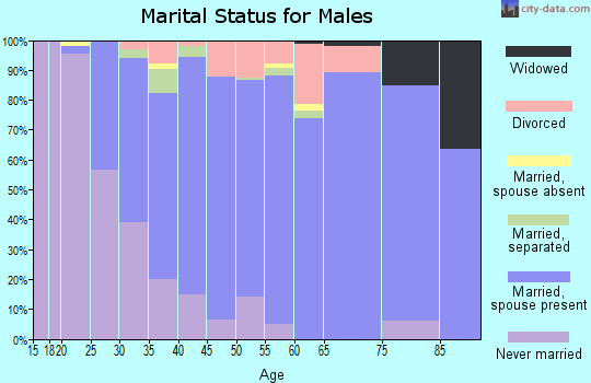 Zip code 33626 marital status for males
