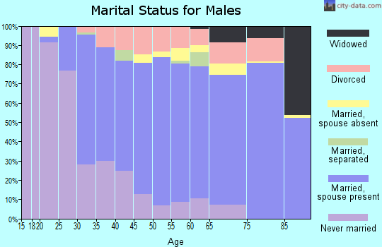 Zip code 33629 marital status for males