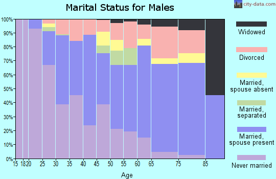 Zip code 33634 marital status for males