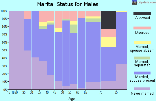 Zip code 33635 marital status for males