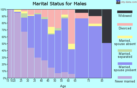 Zip code 33637 marital status for males