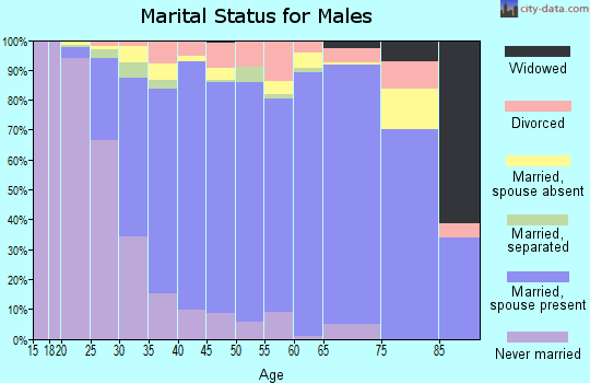 Zip code 33647 marital status for males