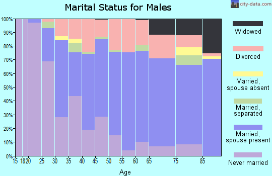 Zip code 33703 marital status for males