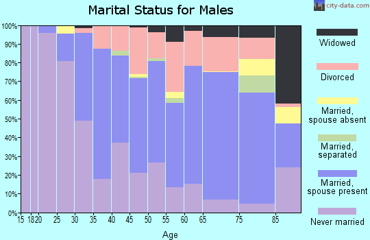 Zip code 33704 marital status for males